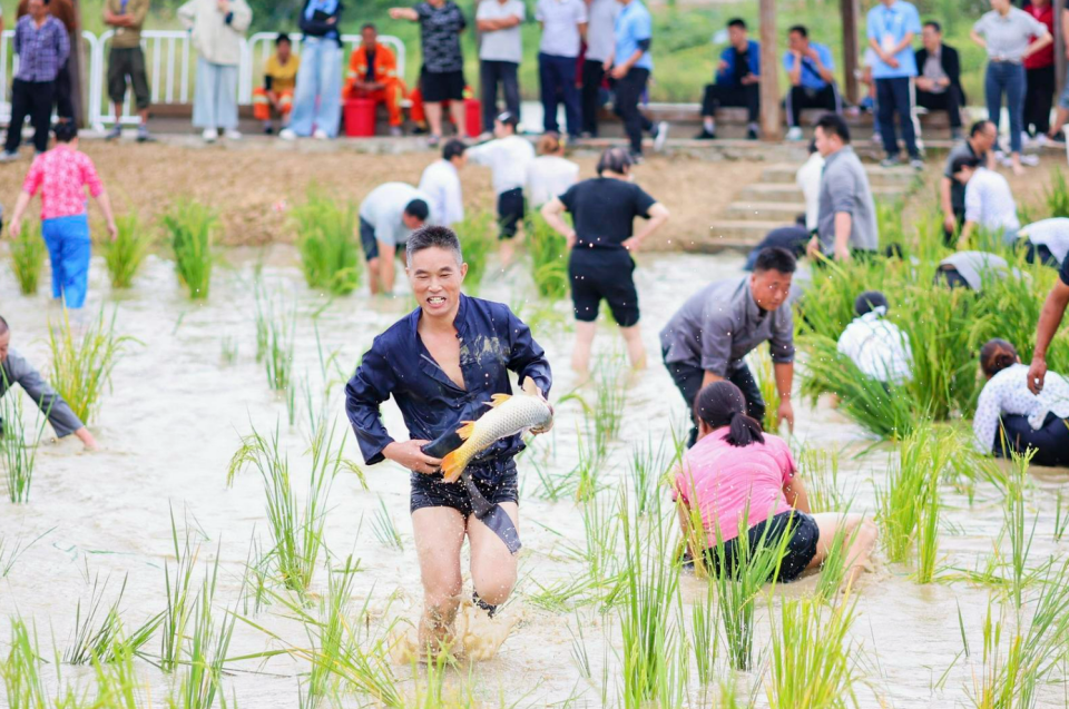 GWlXk, pYFrD GWlXk, pYFrD